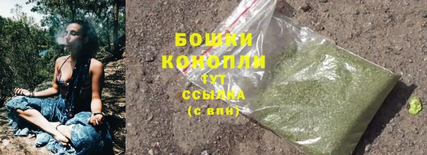 сатива Краснослободск