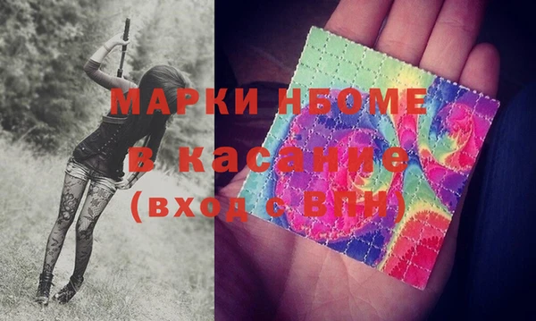 сатива Краснослободск