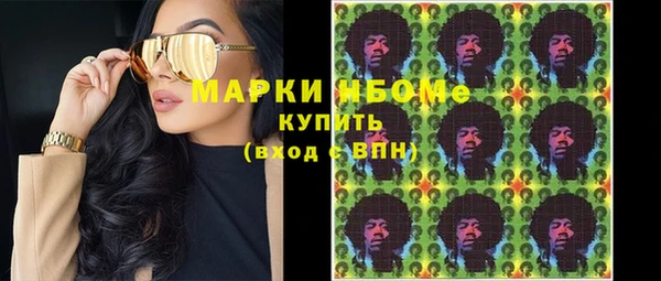 сатива Краснослободск